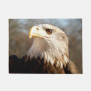 Search for bold eagle Wildlife