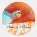 Search for round flamingo stickers Photography