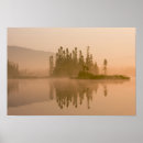 Search for dawning posters Wood