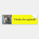 Search for squirrel bumper stickers Car