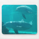 Search for dolphin mousepads Nature