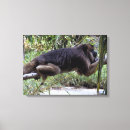 Search for monkey painting canvas prints Tropical