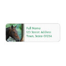 Search for warmblood Horse