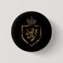 Search for lioness square badges Lions
