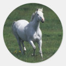 Search for thoroughbred stickers Moving