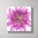 Search for dahlia canvas prints Blossom