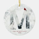 Search for snowy christmas tree decorations Winter holiday