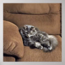 Search for for sofa art Animals