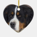 Search for bernese mountain dog christmas decor Breed