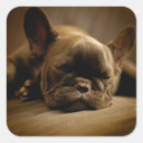 Search for bodie stickers Baby