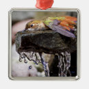 Search for ornithology christmas tree decorations Hummingbird