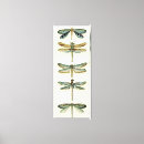 Search for dragonfly canvas prints Animals
