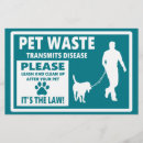 Search for pet flyers Cats