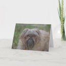 Search for humour get well cards Dogs