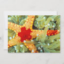 Search for sea star cards Coral reef