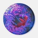 Search for clown magnets Red