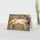 Search for funny dog humour cards Canine