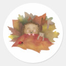 Search for bed stickers Sleepy