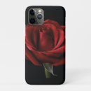 Search for red roses cases Flowers