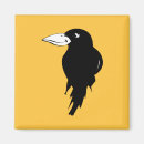 Search for raven magnets Bird