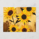 Search for yellow sunflowers postcards Nature