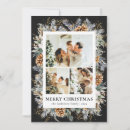 Search for pine needles christmas cards Foliage