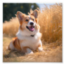 Search for babies pet supplies For her