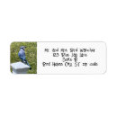 Search for blue jay return address labels Bird