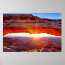 Search for jamie art Arid