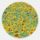 Search for field day stickers Colour image