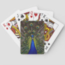 Search for peacock playing cards Photography