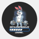 Search for installer stickers Sculpted body