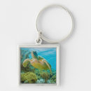 Search for green turtle key rings Reef