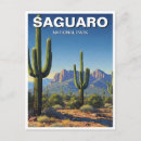 Search for sonoran postcards Southwest