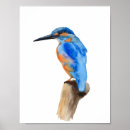 Search for kingfisher painting posters Watercolor