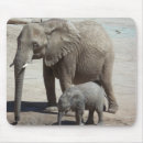 Search for elephant kid mousepads Baby