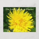 Search for dandelion plant postcards Photography