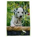 Search for dog gift bags animal