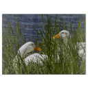 Search for duck chopping boards Nature