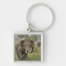 Search for indian elephant key rings Corbett