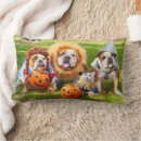 Search for halloween throw cushions Funny