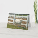 Search for miniature cards Horse