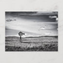 Search for plain postcards Black