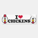 Search for love chickens bumper stickers Farm