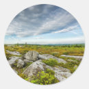 Search for davis stickers Jaynes gallery