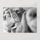 Search for speak postcards Monkey