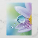 Search for dewdrops postcards Leaf