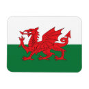 Search for welsh magnets Wales