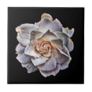 Search for white background tiles Flowers