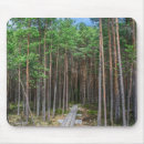 Search for forest path electronics Trees